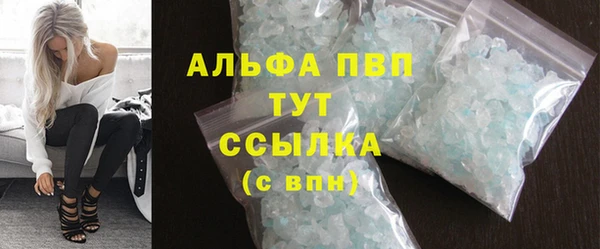 индика Мегион