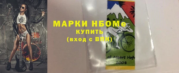 индика Мегион