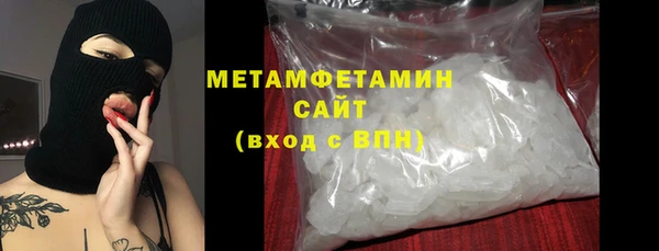индика Мегион