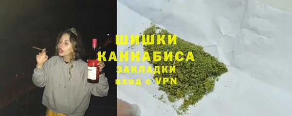 индика Мегион