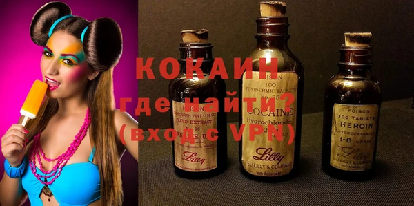 индика Мегион