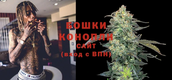 индика Мегион