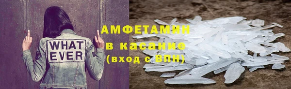 индика Мегион