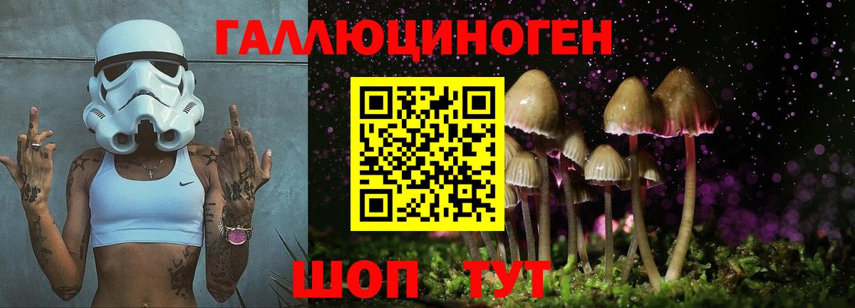 Псилоцибиновые грибы ЛСД  Вход с VPN  Архангельск 